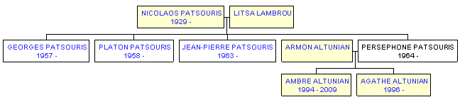 Mini tree diagram