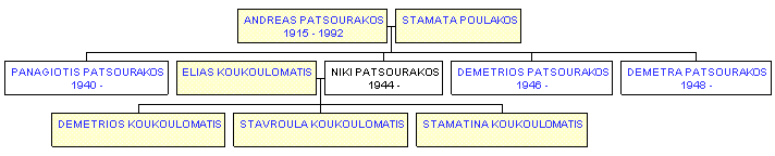 Mini tree diagram