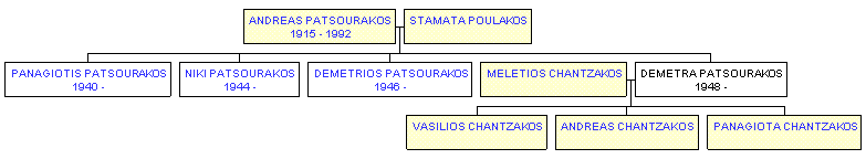 Mini tree diagram