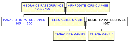 Mini tree diagram