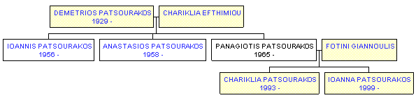 Mini tree diagram