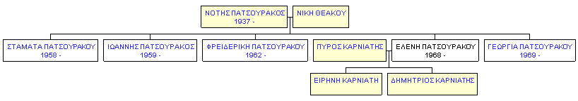 Mini tree diagram
